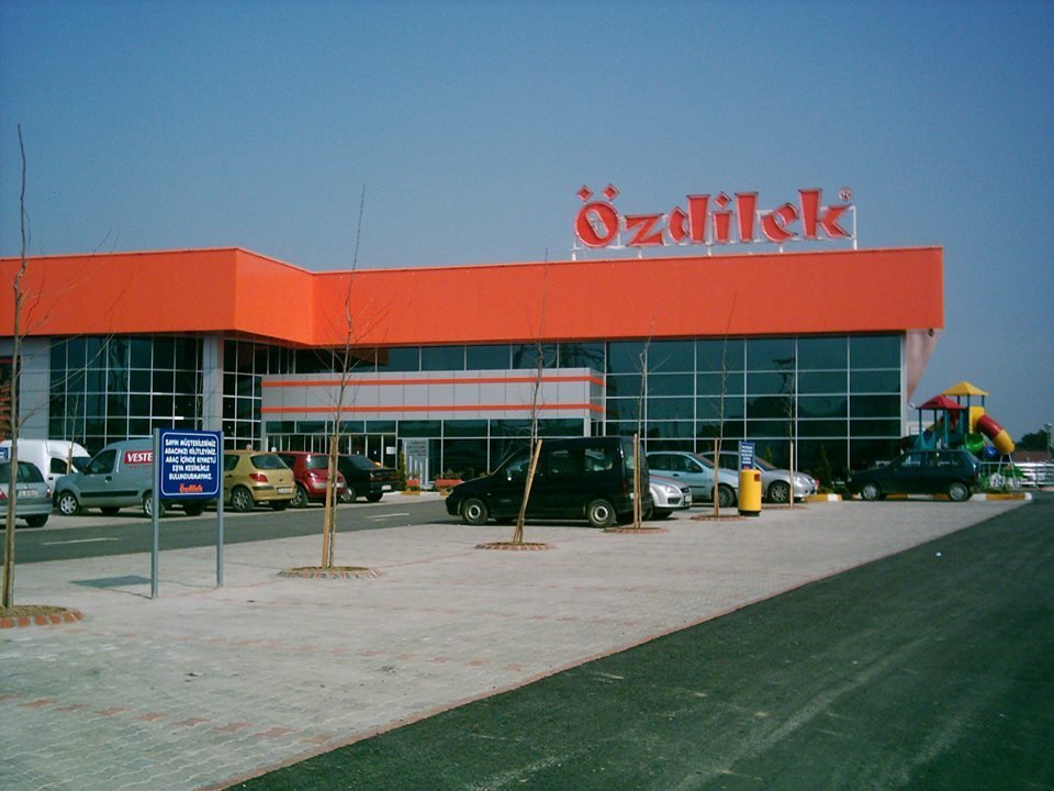 Developer