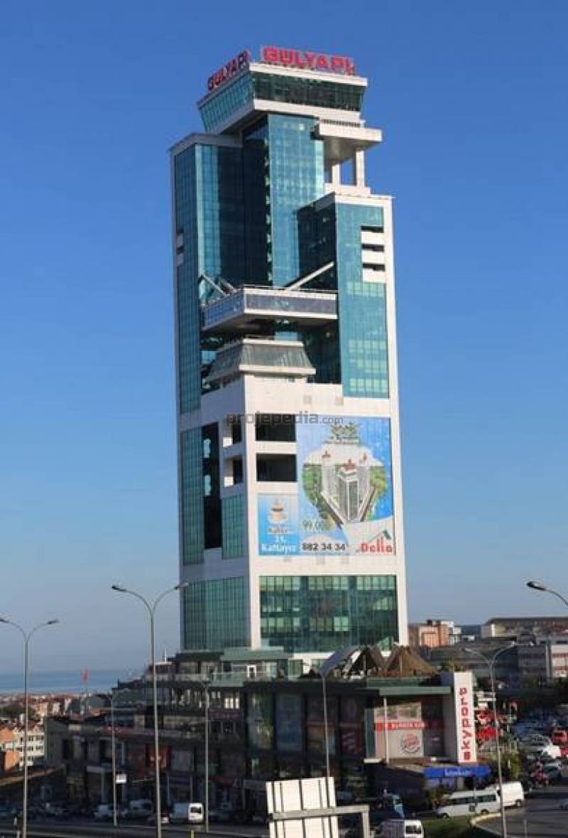 Developer