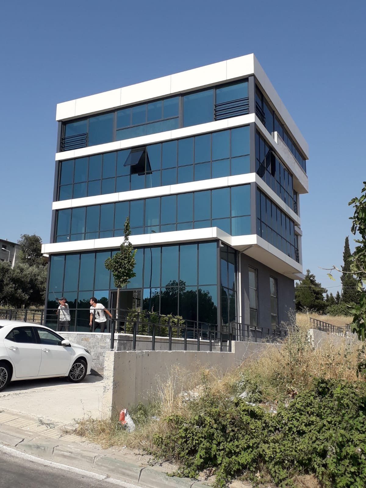 Developer