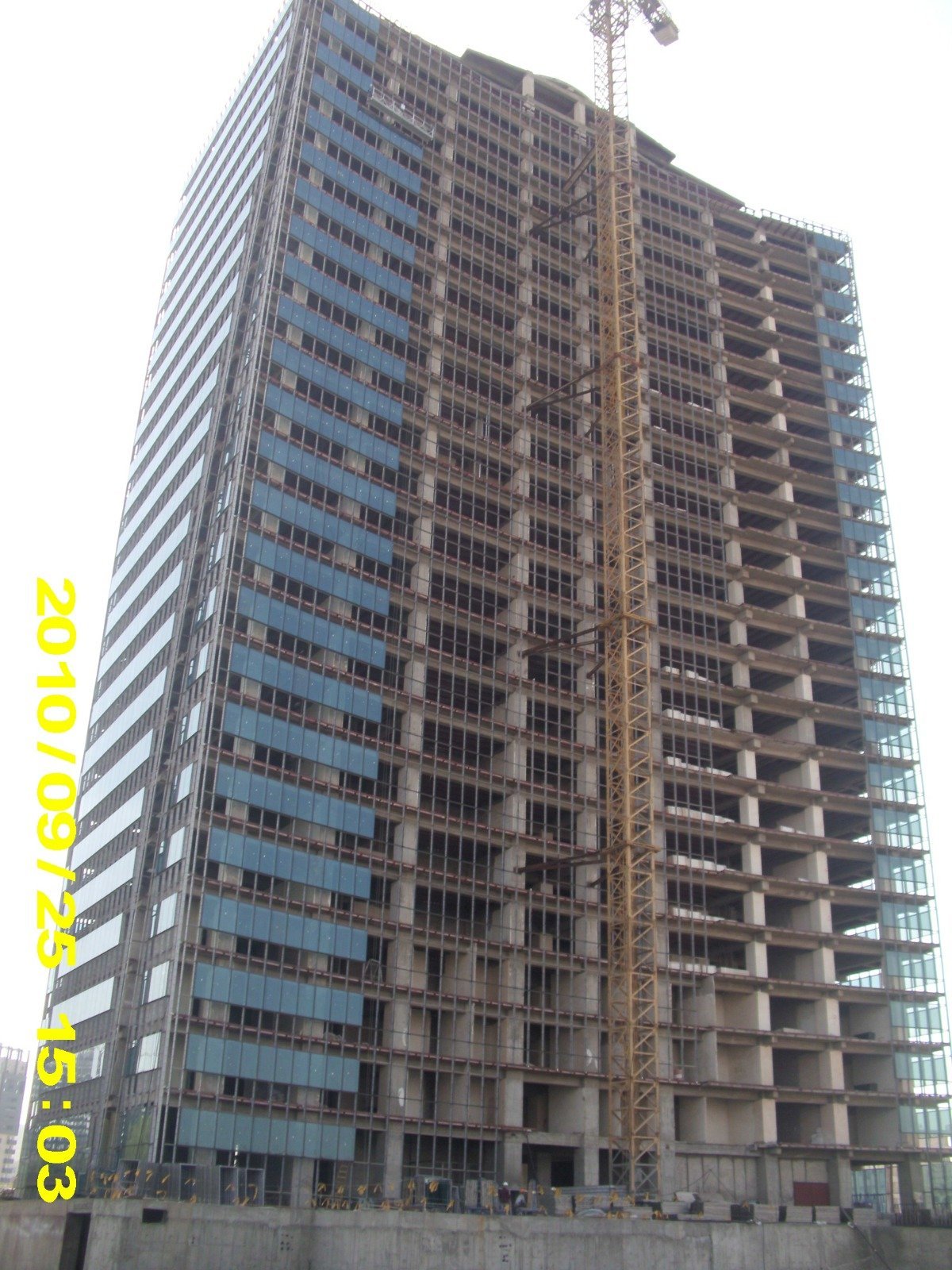 Developer